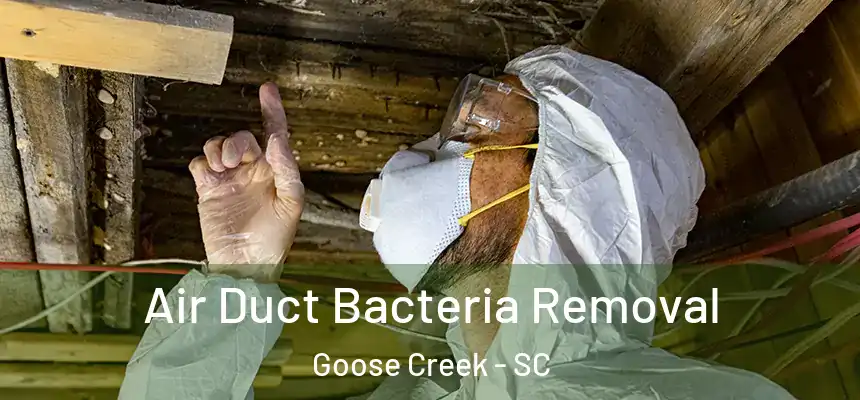 Air Duct Bacteria Removal Goose Creek - SC