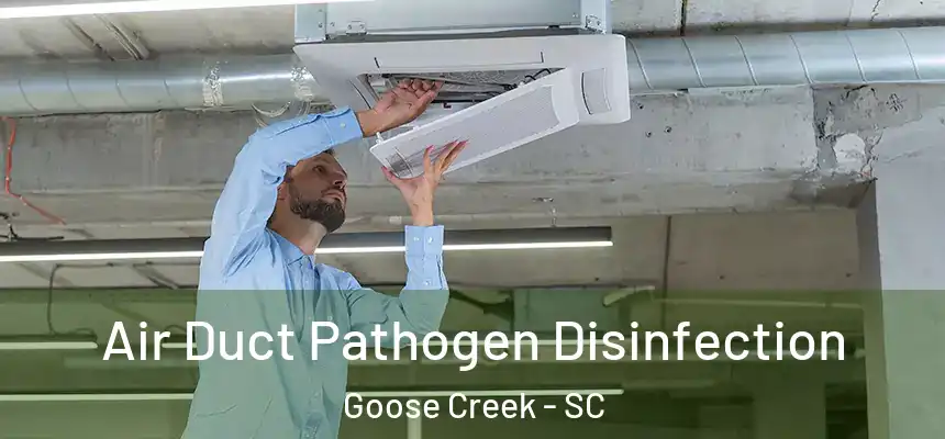  Air Duct Pathogen Disinfection Goose Creek - SC