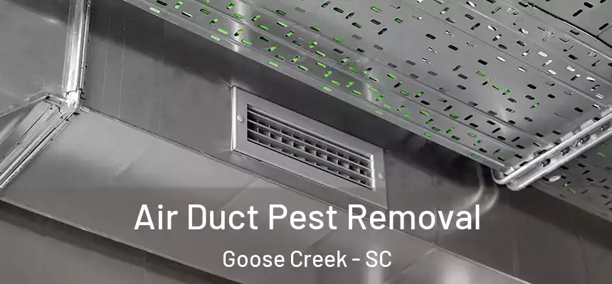  Air Duct Pest Removal Goose Creek - SC