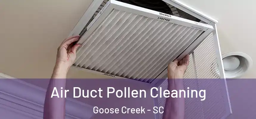  Air Duct Pollen Cleaning Goose Creek - SC