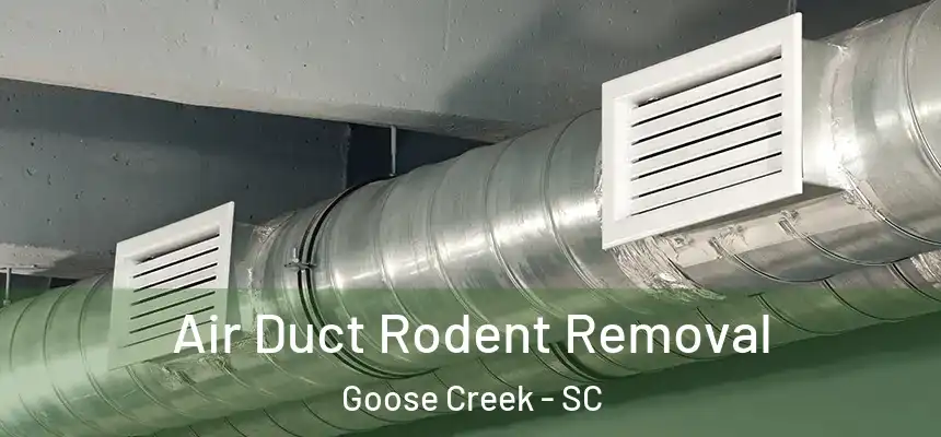  Air Duct Rodent Removal Goose Creek - SC