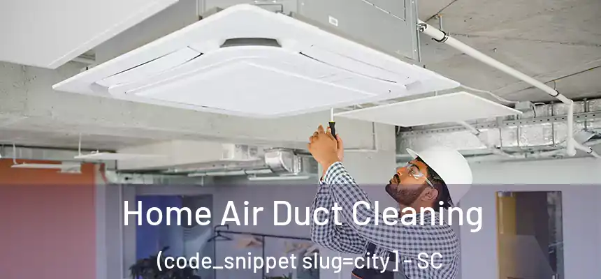  Home Air Duct Cleaning (code_snippet slug=city] - SC