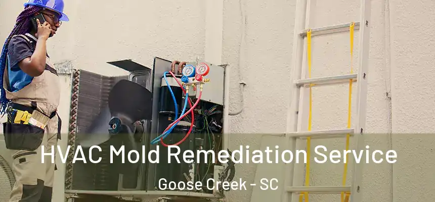  HVAC Mold Remediation Service Goose Creek - SC