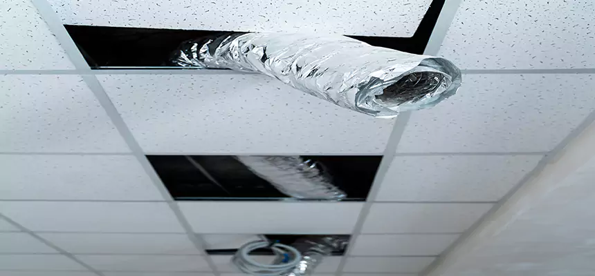 Affordable HVAC Sanitizing After Pest Removal in Goose Creek