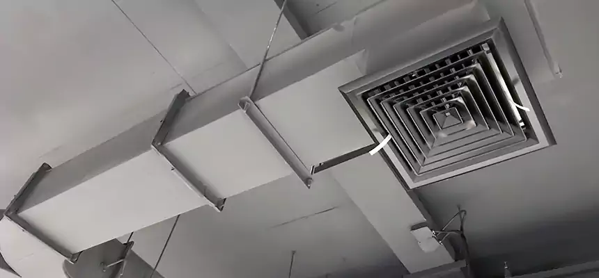 Restorative Allergy Relief Vent Cleaning – Coil, Blower & Housing Detail in Goose Creek