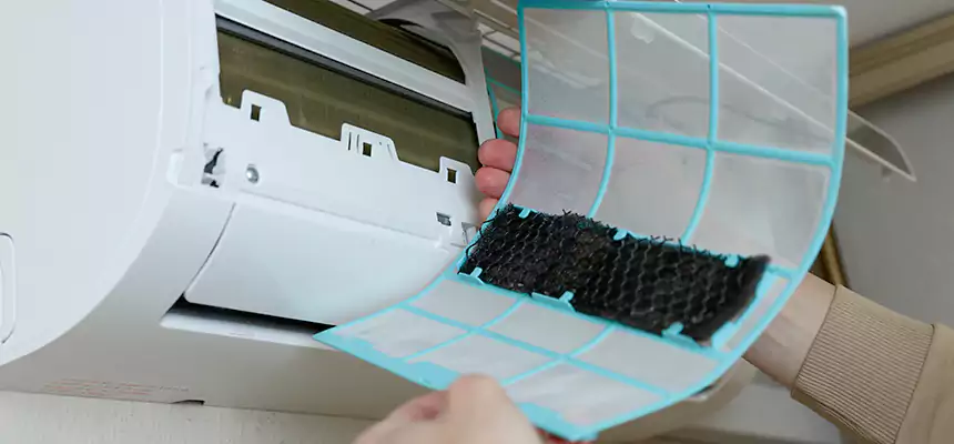 Gentle Ductwork Odor-Control Pet Dander Duct Cleaning in Goose Creek, SC