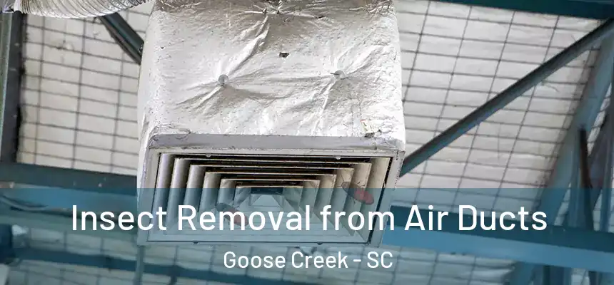  Insect Removal from Air Ducts Goose Creek - SC