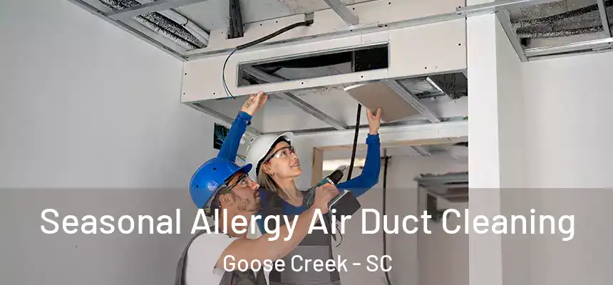  Seasonal Allergy Air Duct Cleaning Goose Creek - SC