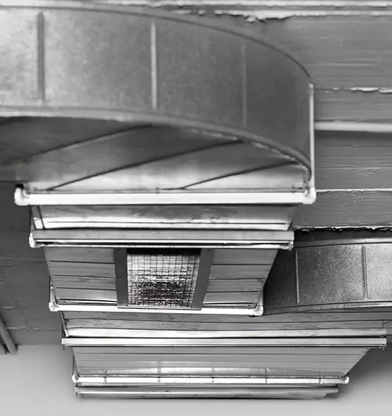 Professional Air Duct Pest Removal in Goose Creek, SC