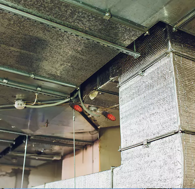 Why Homeowners & Businesses Trust Us in Goose Creek, SC?