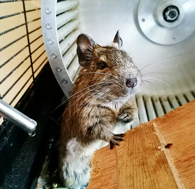 Why Homeowners & Businesses Trust Us Goose Creek, SC?