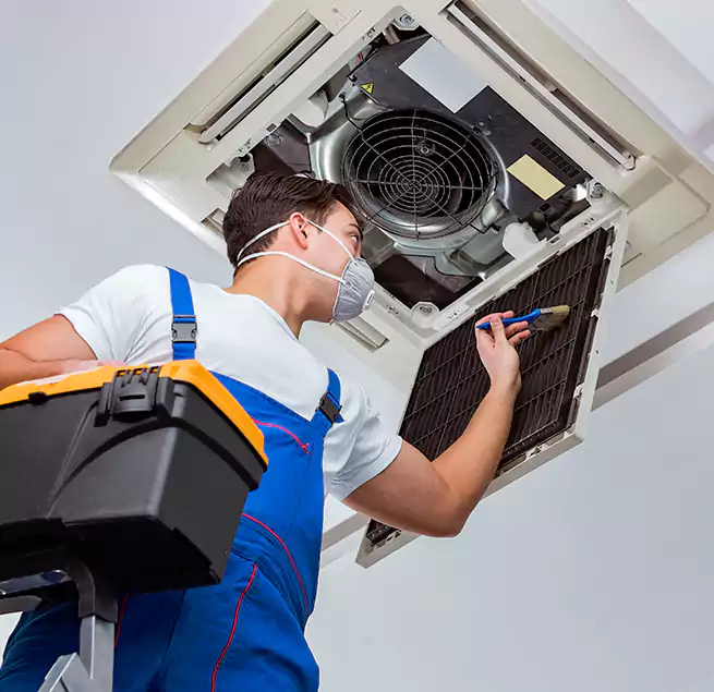 Why Homeowners & Businesses Trust Us in Goose Creek, SC