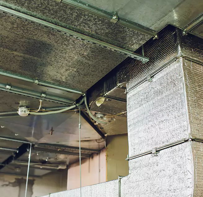 Why Homeowners & Businesses Trust Us in Goose Creek, SC?